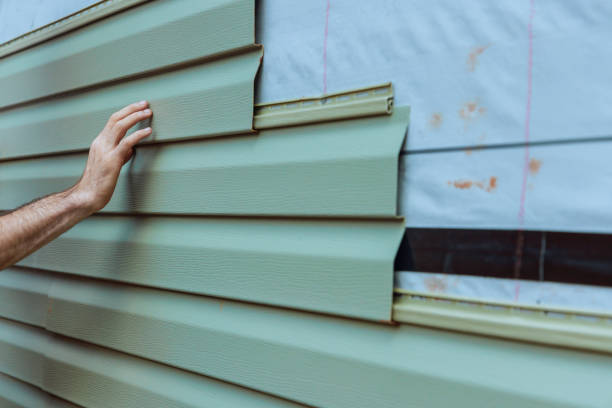 Best Insulated Siding Installation  in Lebanon, KY